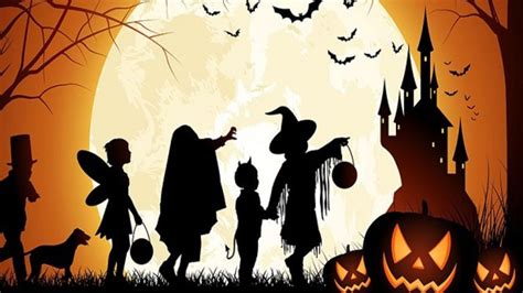 Halloween 2022 .